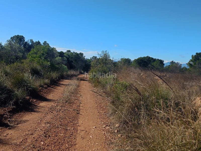Foto e8679aaa-73db-4dfc-b09e-426e0369f8c5. Finca rústica a Avilés Lorca