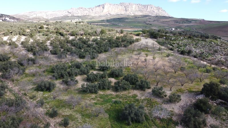 Foto 34d6f1ba-5a83-4117-9d6f-07293323ca55. Casa amb calefacció aparcament a Bobadilla - Bobadilla Estación - La Joya Antequera