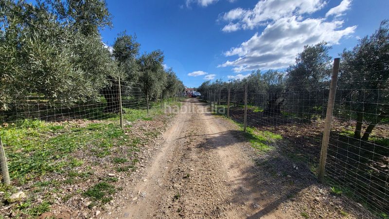 Foto 49afbde3-ea77-4d0e-91d9-5e12834f1c60. Casa amb calefacció aparcament a Bobadilla - Bobadilla Estación - La Joya Antequera