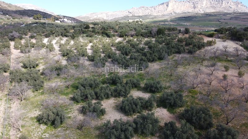 Foto 6b375269-4e16-442f-a168-9d3980ee8e92. Casa amb calefacció aparcament a Bobadilla - Bobadilla Estación - La Joya Antequera