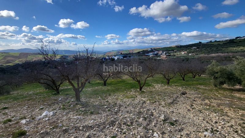 Foto 6bf0371a-a681-4d3c-b6a5-28974f1b5439. Casa amb calefacció aparcament a Bobadilla - Bobadilla Estación - La Joya Antequera