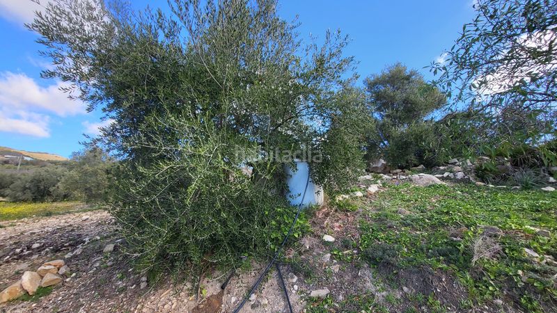 Foto 9e05a7f6-0378-4146-8ca3-4239c07a3a7b. Casa amb calefacció aparcament a Bobadilla - Bobadilla Estación - La Joya Antequera