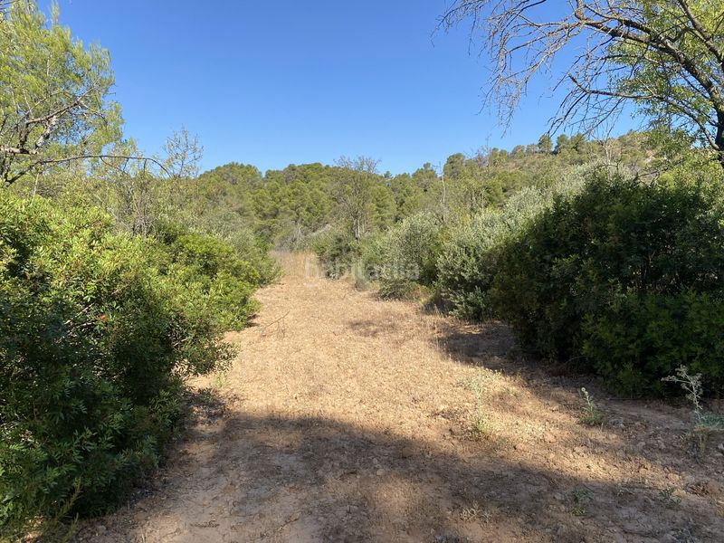 Foto a6050e99-7439-43ef-b1a0-cf750e59bf29. Finca rústica a Ascó