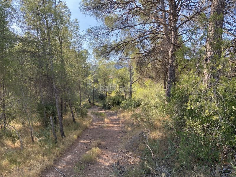 Foto bb731e19-c690-4940-a204-d239c24d3f73. Finca rústica a Ascó