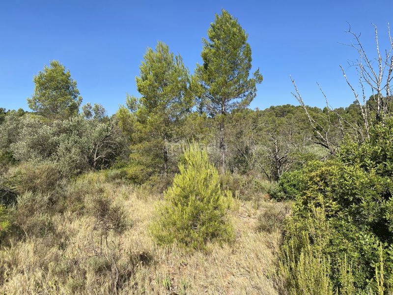 Foto f00d6eb4-93a3-4823-8ee0-06d8c8841e49. Finca rústica a Ascó