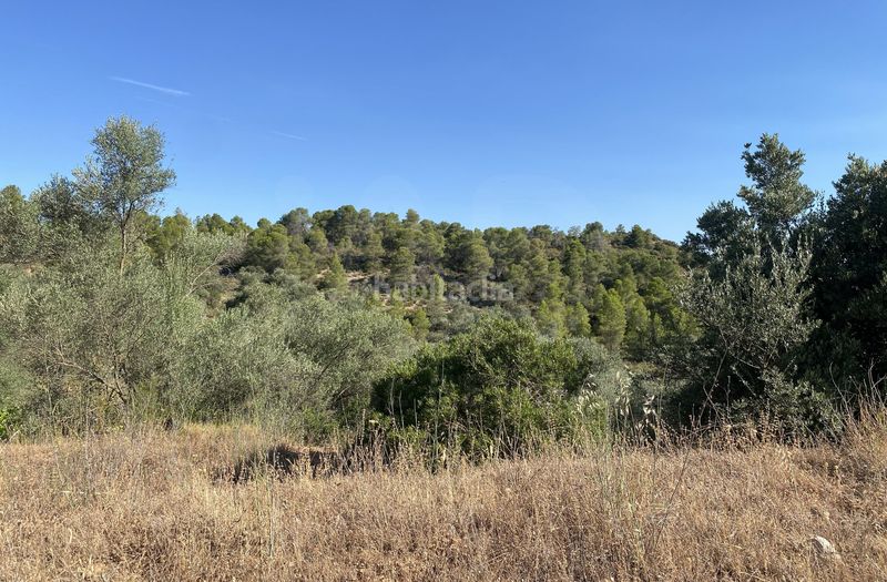 Foto 981d6e99-4e8a-47e0-b2fc-cf24ebd21e02. Finca rústica en Ascó