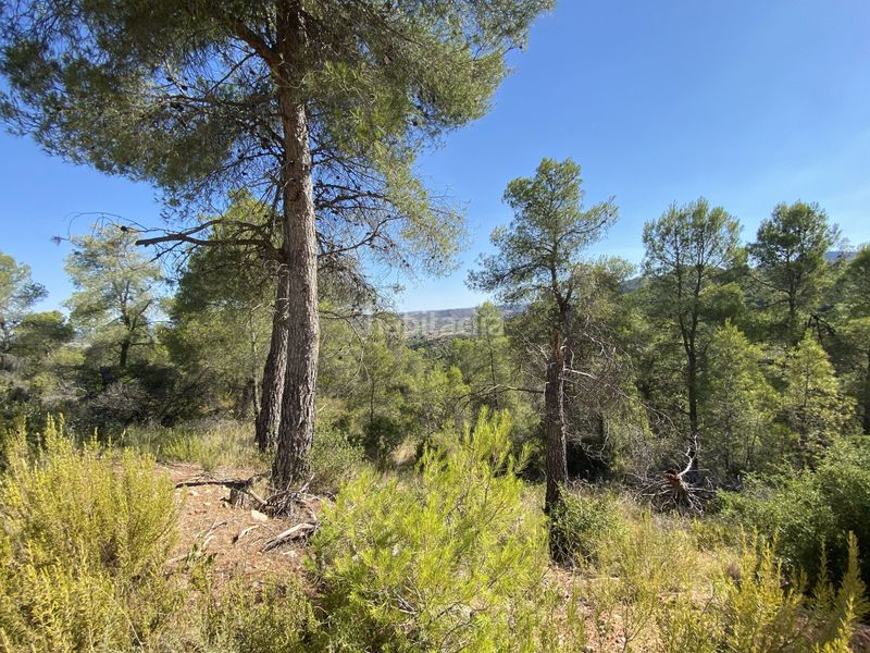 Foto a6749852-588c-4d6b-b6b9-0441ac911ebe. Finca rústica en Ascó