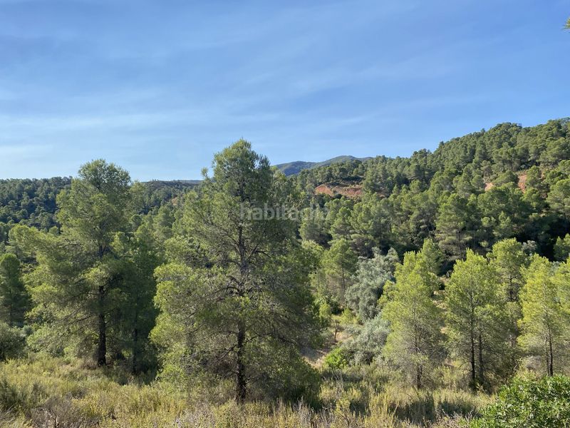 Foto ac990262-d3f5-4afa-bdfc-9fa99c876396. Finca rústica en Ascó