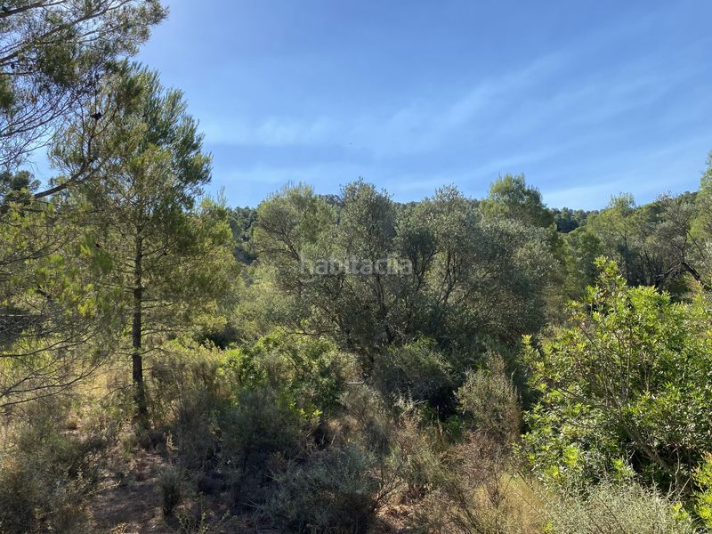 Foto af532f97-d076-4124-b610-0e5328de352b. Finca rústica en Ascó