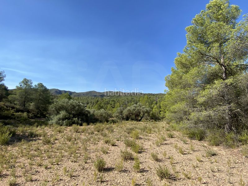 Foto bce01437-9134-4b3b-ba46-74316e10468b. Finca rústica en Ascó