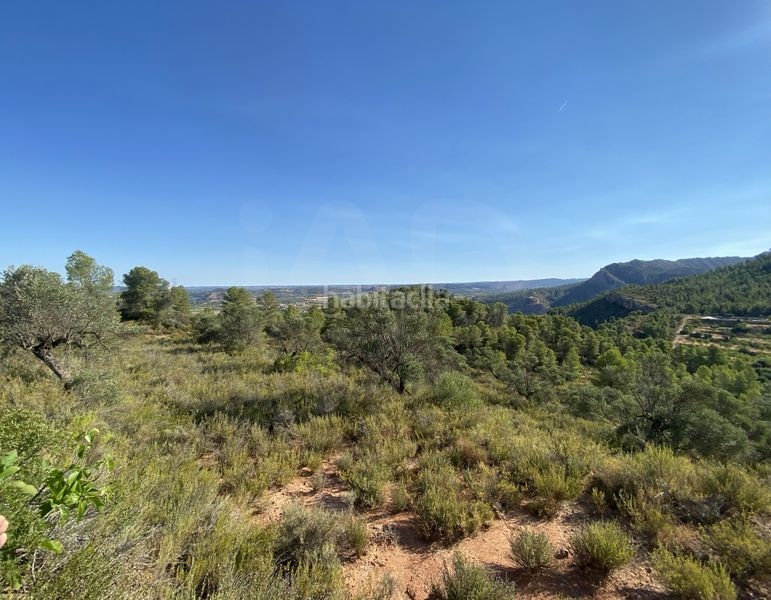Foto be1ae2b4-72fa-4a36-ba8e-cf8ef2a96338. Finca rústica en Ascó