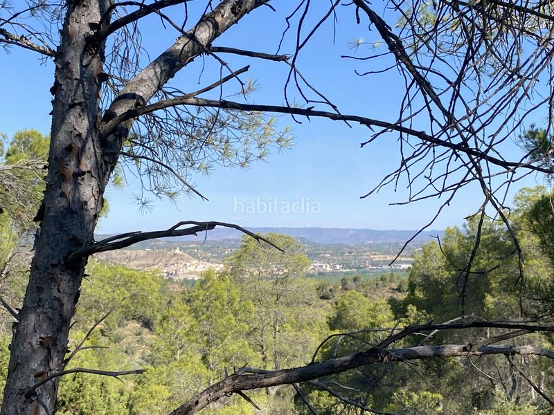 Foto cf53dfa8-d25e-4c15-ba18-f7915c49ba72. Finca rústica en Ascó