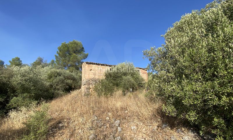 Foto d21d8927-ecdb-412b-9e06-31c1013fe2c8. Finca rústica en Ascó