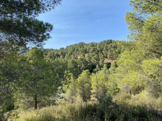 Finca rústica a Ascó