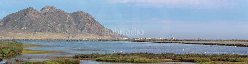 Foto 5562afd0-3992-44d2-8c38-5d59ab83db4b. Masia amb calefacció a Pozo de los Frailes-Presillas-Albaricoques Níjar