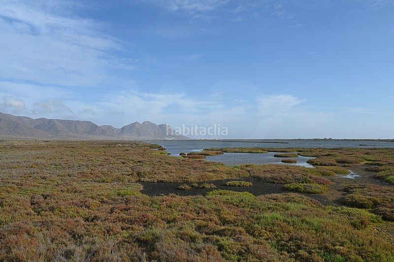 Foto 571d92b9-4c8d-476c-82f2-5aee1b734e96. Masia amb calefacció a Pozo de los Frailes-Presillas-Albaricoques Níjar