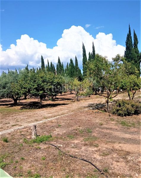 Foto 2ccfcb6f-e538-4bf1-9474-9e996fb01ef9. Casa amb calefacció aparcament piscina a Móra d´Ebre