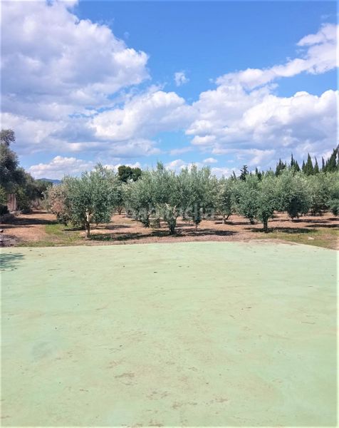 Foto 4dfd7c84-c633-4a46-a989-dfd2ad5c252c. Casa amb calefacció aparcament piscina a Móra d´Ebre