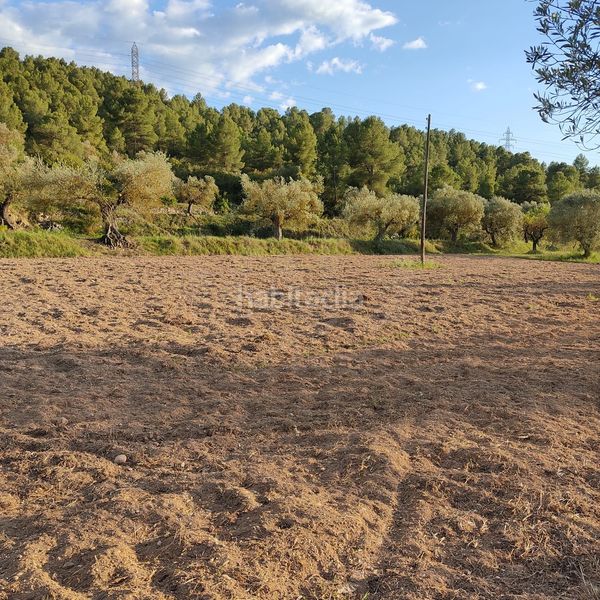 Foto 86cd95bf-04c3-4861-82ab-fe9ea759ae04. Finca rústica a Flix