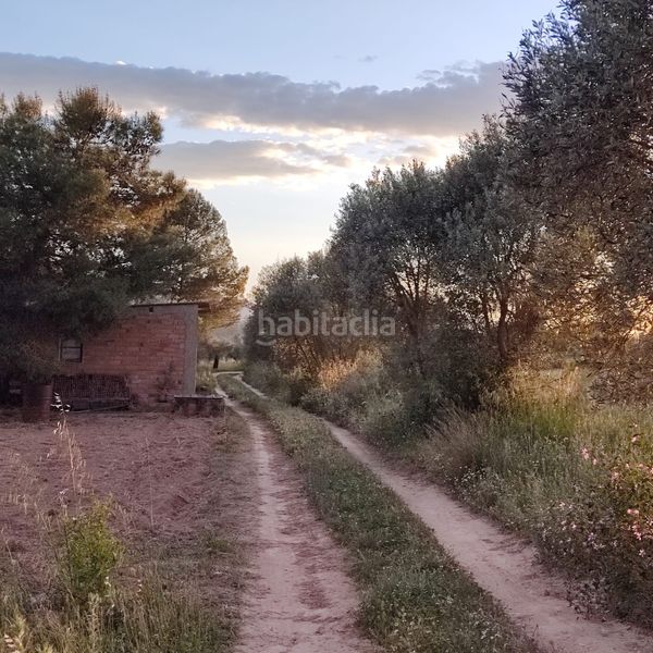 Foto ae2dcd8a-ac0b-4b25-a6f4-d2696b3f5507. Finca rústica a Flix