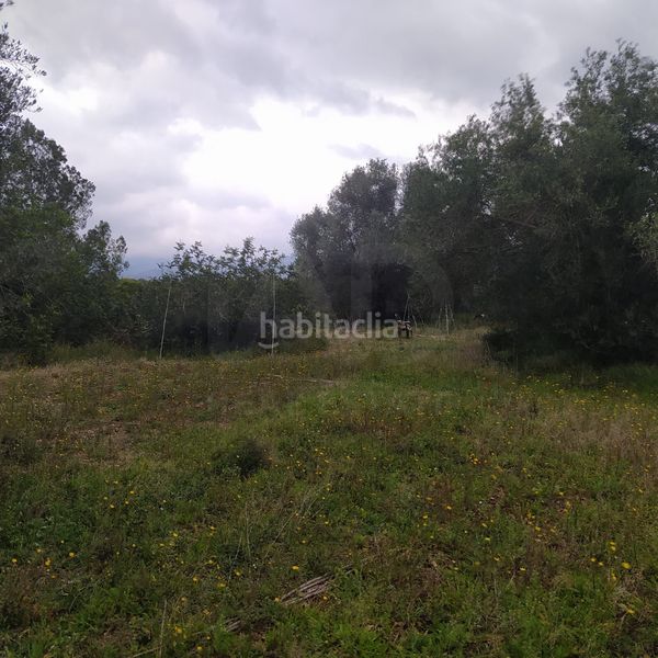 Foto 0bca1bc7-8540-40e7-94d4-39cc4ffe7dbe. Finca rústica a Tivenys