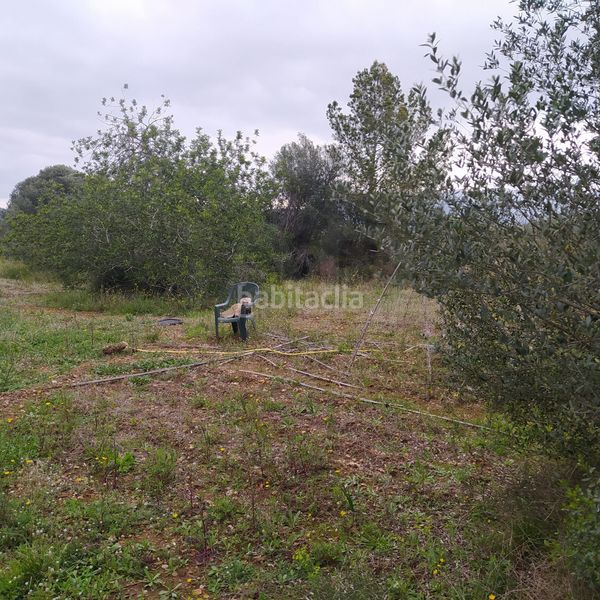 Foto 460d3699-5820-4045-bd21-4b8ea198ef7c. Finca rústica a Tivenys