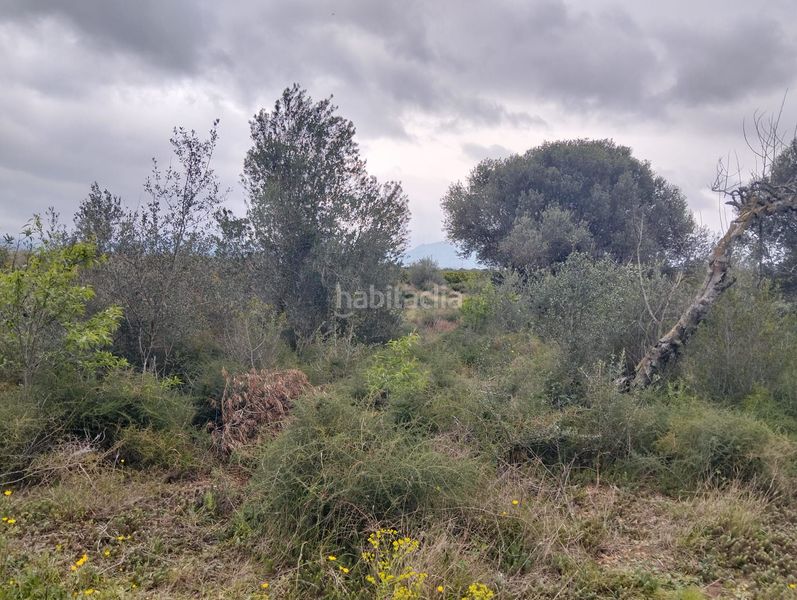 Foto 70d61718-7401-4248-b13a-6c76e250f6f6. Finca rústica a Tivenys