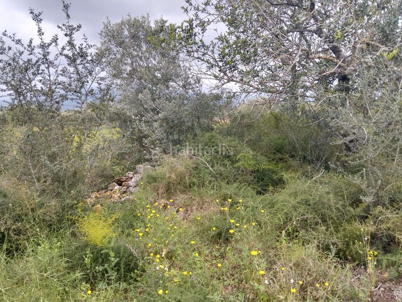 Foto cc4461f0-99c1-4f75-ba8f-c3c705a63255. Finca rústica a Tivenys