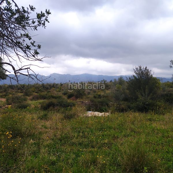 Foto d57f76b9-de11-43c5-bbe4-84e4fded1848. Finca rústica a Tivenys