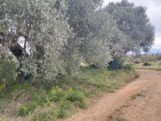 Finca rústica en Tivenys