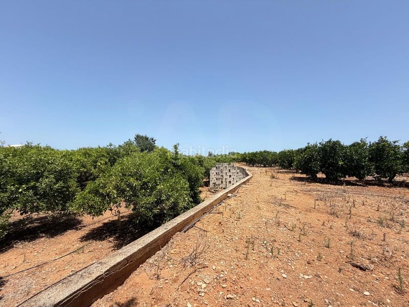 Foto a7ad74f9-7e91-4c66-8eb8-c418a073b669. Finca rústica a Ondara