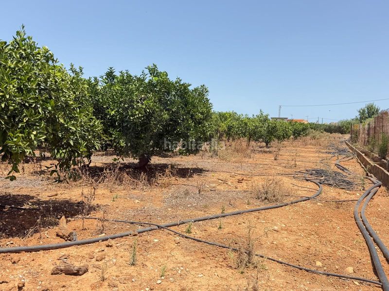 Foto 4ad2563a-f996-4603-9e30-5e89da5b1e1c. Finca rústica en Ondara