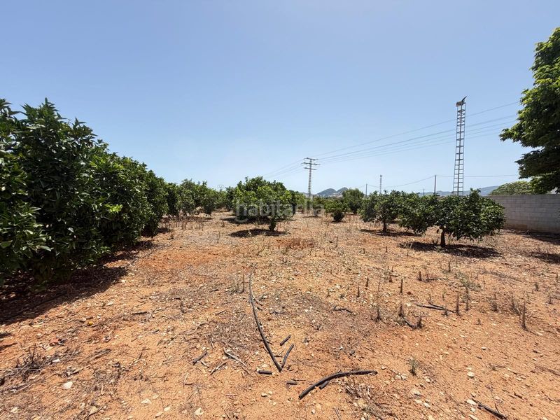 Foto b289c85f-f297-4bd5-bf81-da55667a6d0e. Finca rústica en Ondara