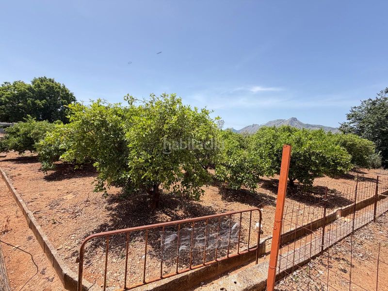 Foto d9c9a4f6-8ec2-4f13-bbed-c731e821e842. Finca rústica en Ondara
