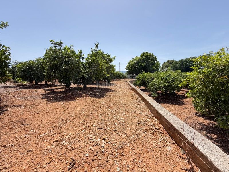 Foto da4df9e0-b6d0-4d64-bd16-c4063a0d733d. Finca rústica en Ondara