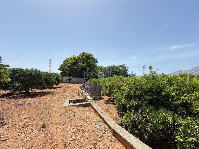 Foto eae3f430-d551-4e8a-b200-bd3af74e8c03. Finca rústica en Ondara