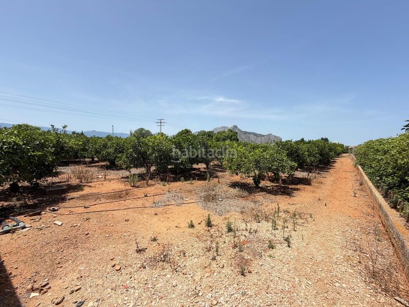 Foto f69aa3e2-2697-4a24-9332-e2153f57fe9f. Finca rústica en Ondara