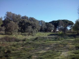 Residential Plot in Urbanización sotogrande 3