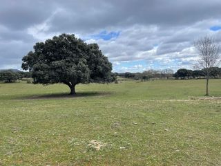 Fondo rustico in La Canaleja