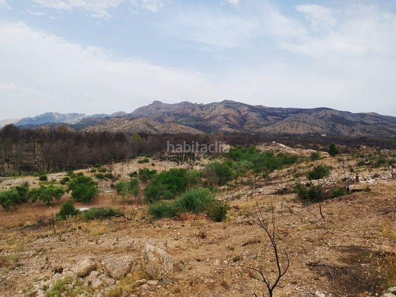 Foto e7ba1abe-d424-4927-ad86-8c432415e4b0. Finca rústica a Xerta