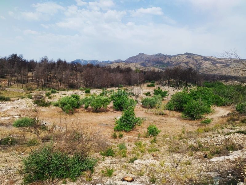 Foto 682d59f3-ba0c-4f48-8786-7062938c9be3. Finca rústica en Xerta
