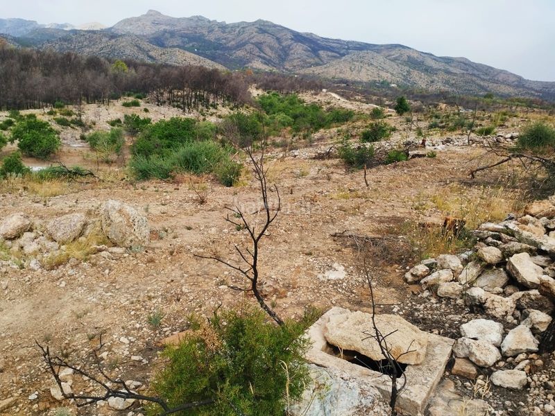 Foto cbb380c8-3b2a-46c1-ad8b-f2f1979fcbde. Finca rústica en Xerta