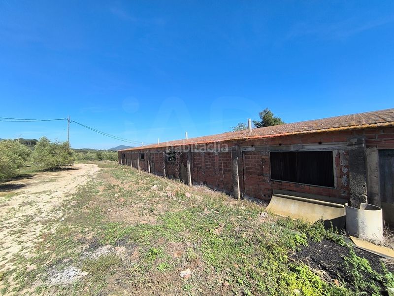 Foto 106fb180-2a65-49b9-8173-6d05d33739ed. Finca rústica en Alforja