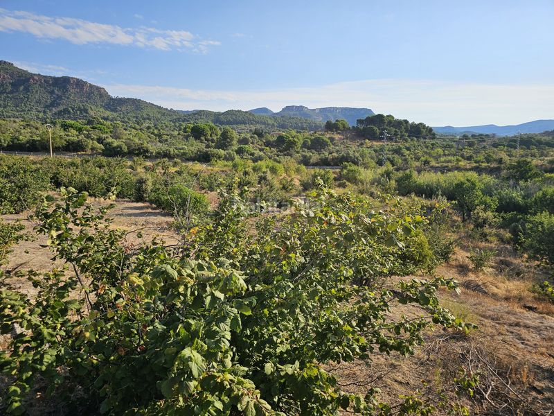 Foto 15054a13-2550-4312-9b84-d48ee53c6f69. Finca rústica en Alforja