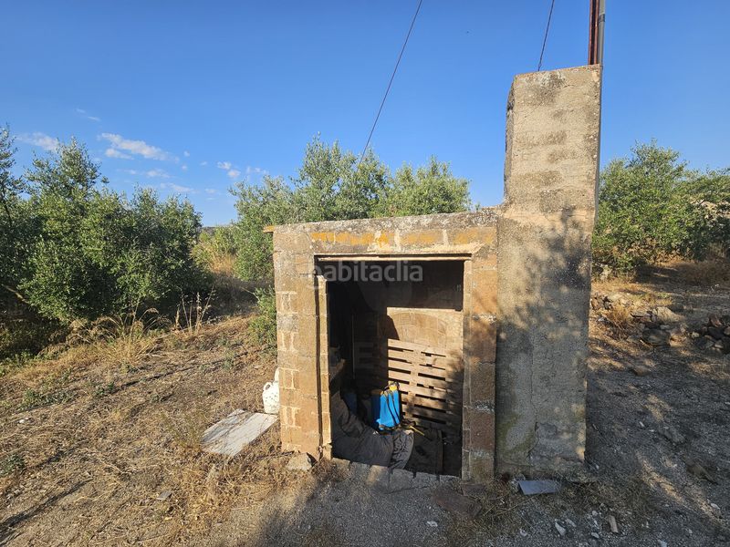 Foto 4f9e3b72-4f69-4a44-9ec3-42b49948f6d6. Finca rústica en Alforja