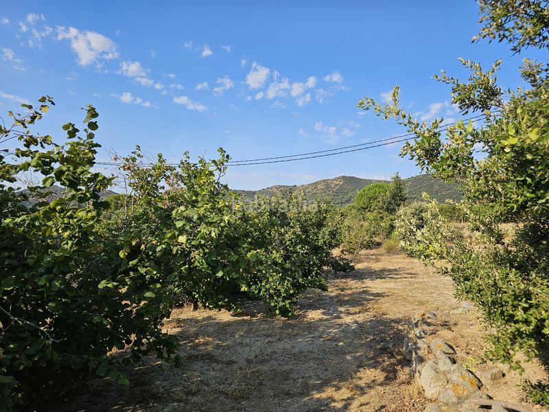 Foto 5e305bce-e3d9-432b-a347-6ef92a6ec1db. Finca rústica en Alforja