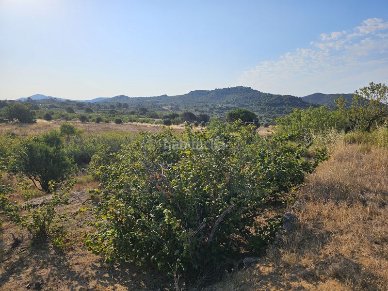 Foto ca8eaeea-3e19-4dbe-ad0d-b382a59c2563. Finca rústica en Alforja