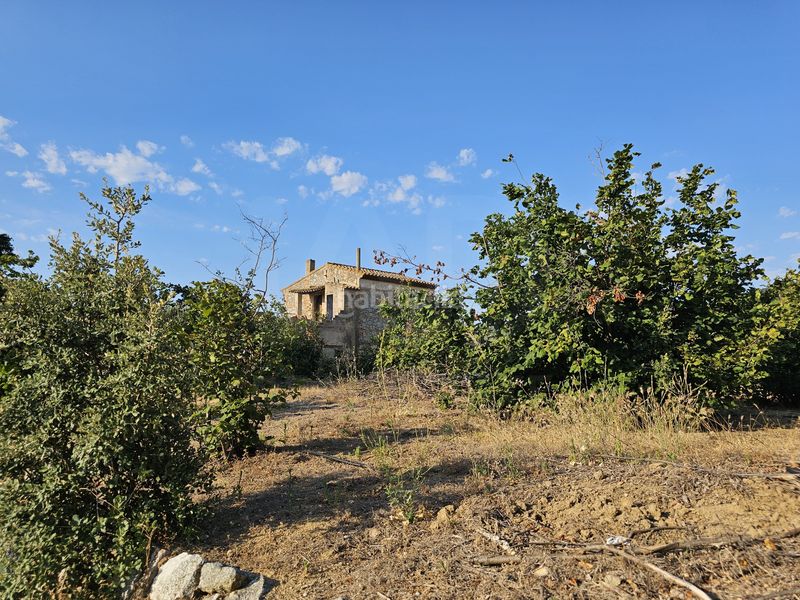 Foto d7269ea7-6d65-48db-b068-ed6a070822e9. Finca rústica en Alforja