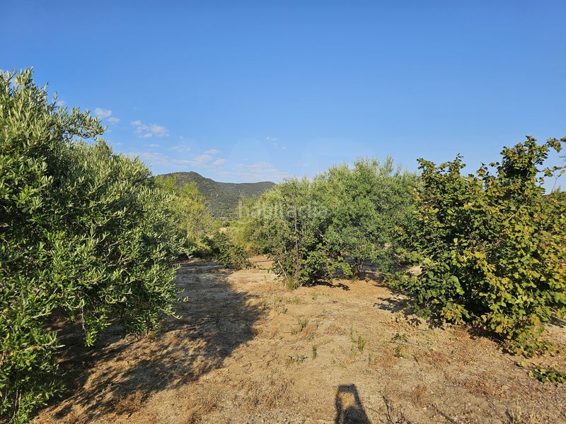 Foto fde759c6-b0ae-4750-a850-9351e4ec84e4. Finca rústica en Alforja