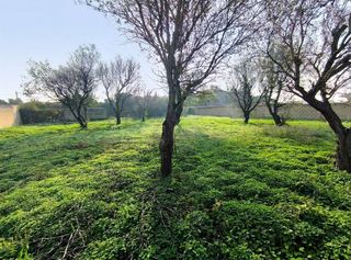Rural plot in Los Franceses - La Vega